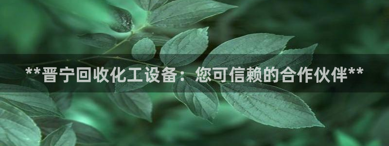 门徒娱乐平台登录官网